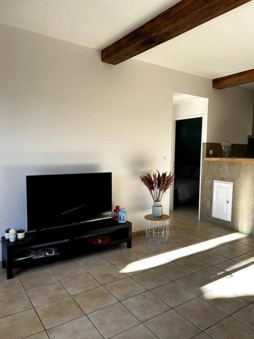 Superbe Appartement Dans Un Mas Nîmes Eksteriør billede